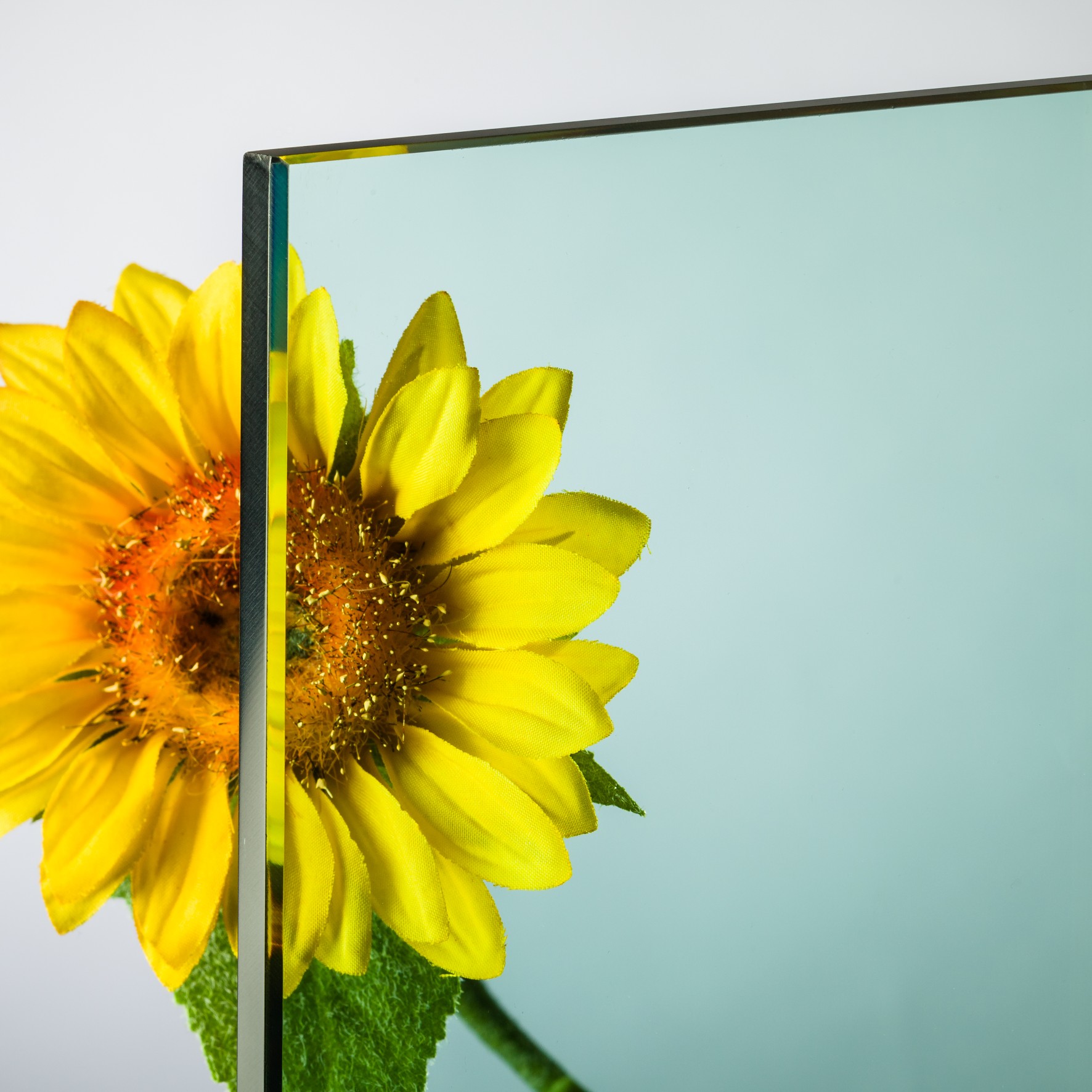 ESG Sicherheitsglas Klar